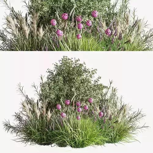 mixed plant and bush 02