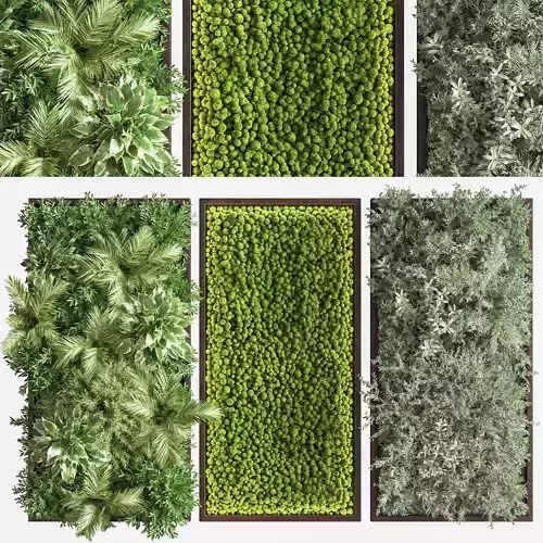 Wooden Planks Vertical Garden and Mosswalls 2 3D model