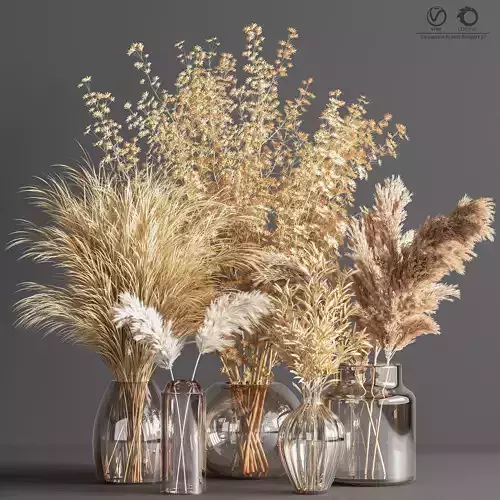 Collaction Plants Bouquet 07 Corona