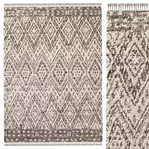 FAIZA BORDER WOOL RUG