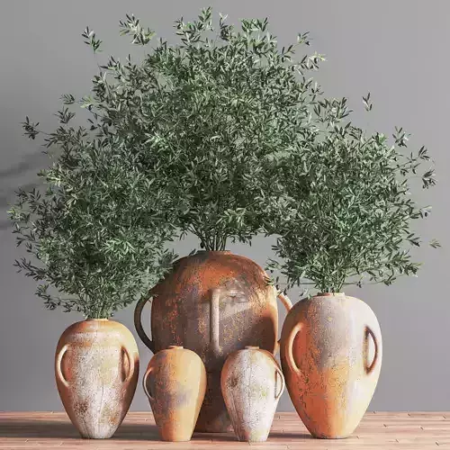 Indoor Plant olive Set 08