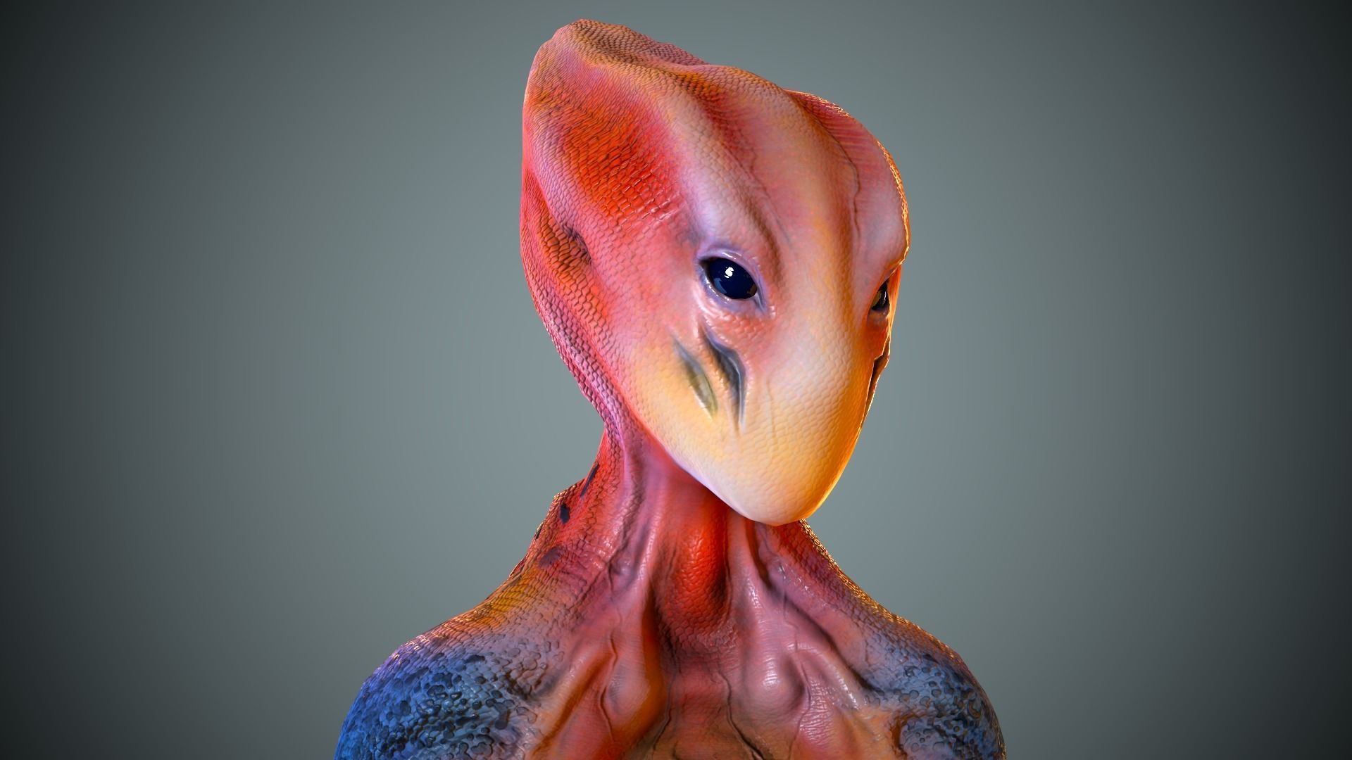 Alien Striscils Low-poly 3D model_21