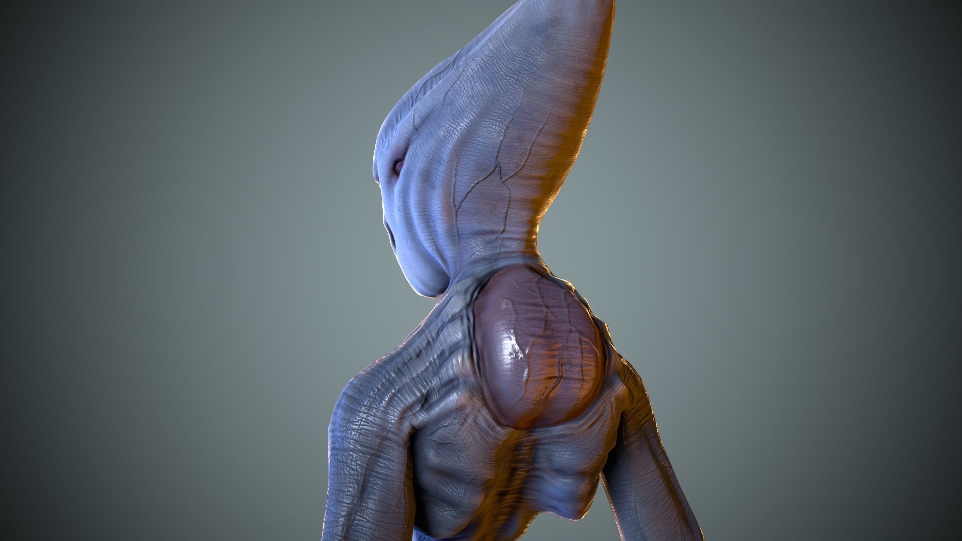 Alien Striscils Low-poly 3D model_23