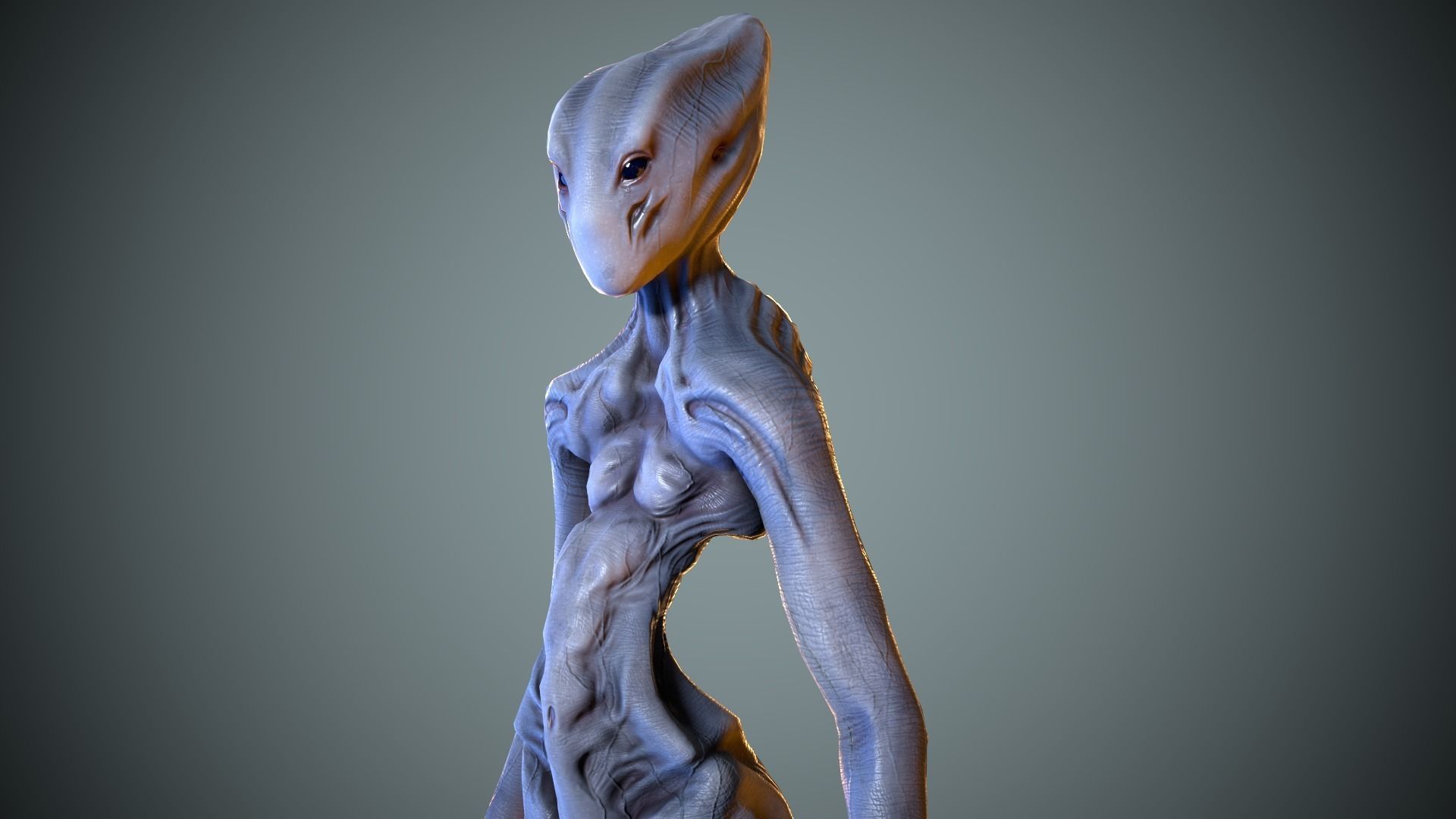 Alien Striscils Low-poly 3D model_13