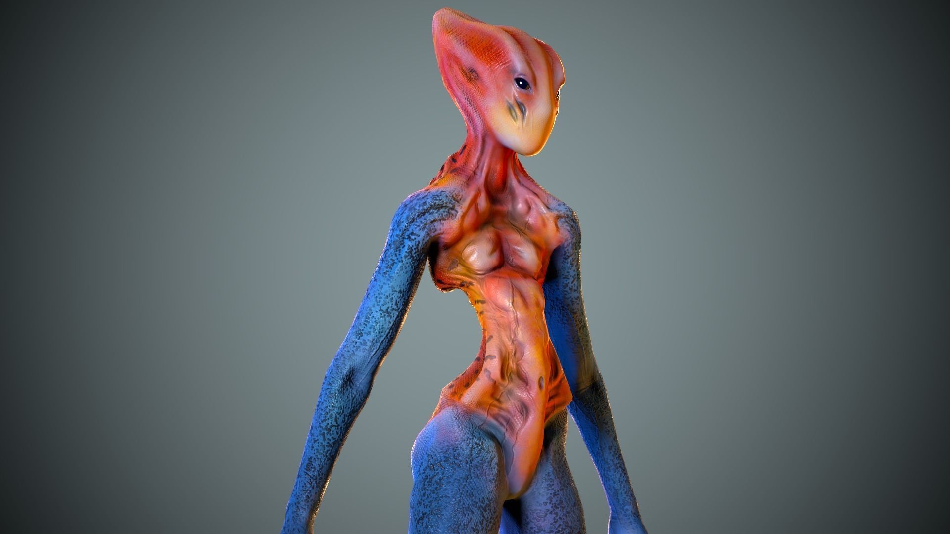 Alien Striscils Low-poly 3D model_11