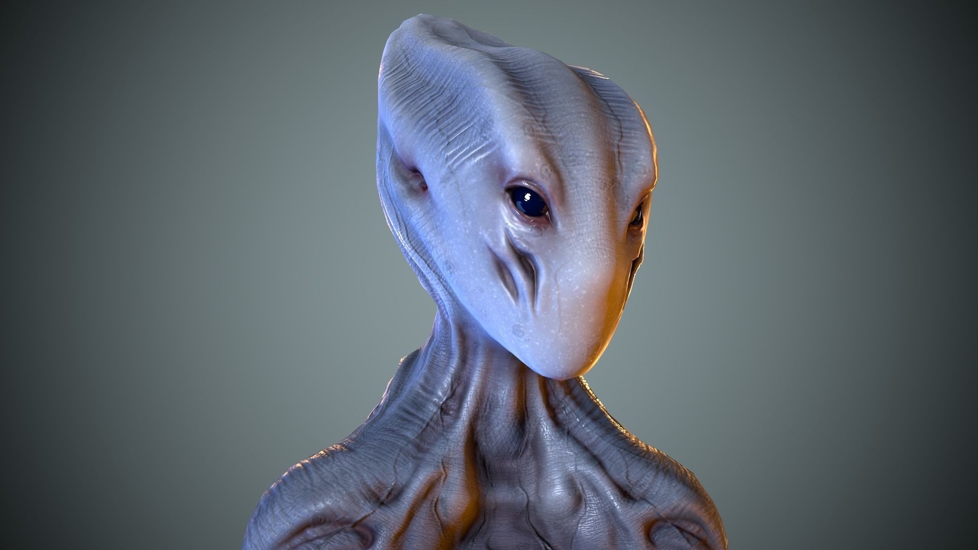 Alien Striscils Low-poly 3D model_22