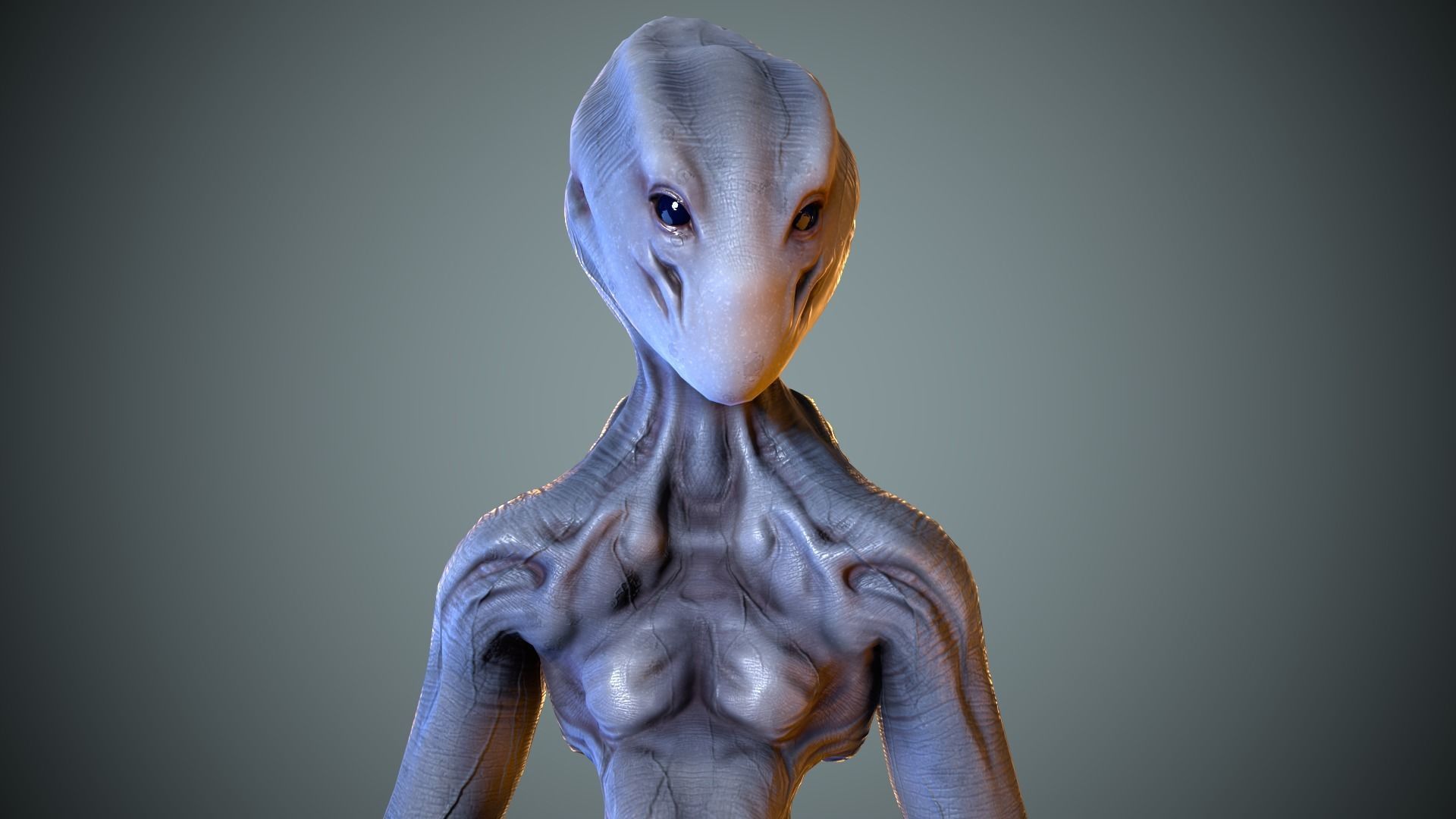 Alien Striscils Low-poly 3D model_8