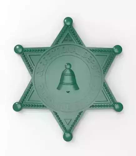 police badge correctional deputy riverside county