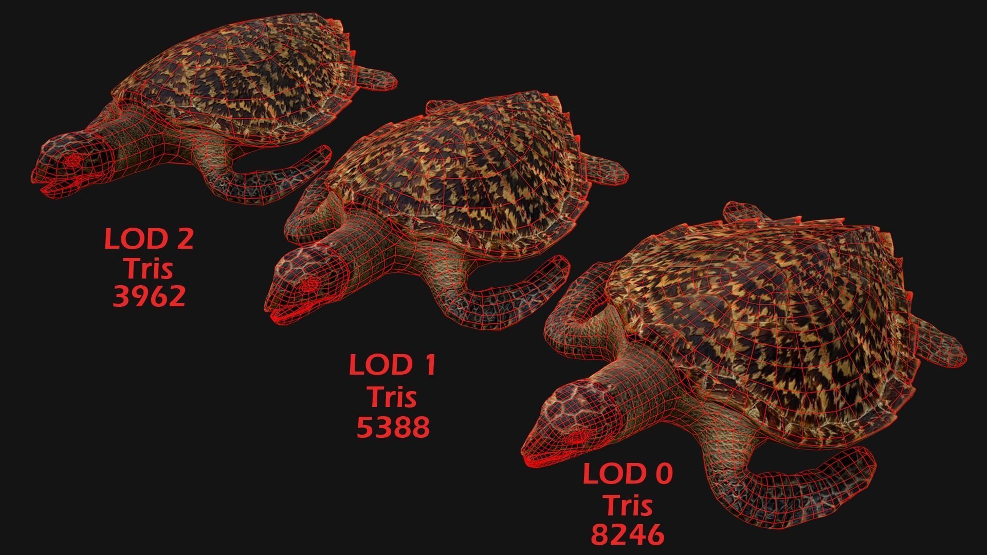 Turtle Low-poly 3D model_3