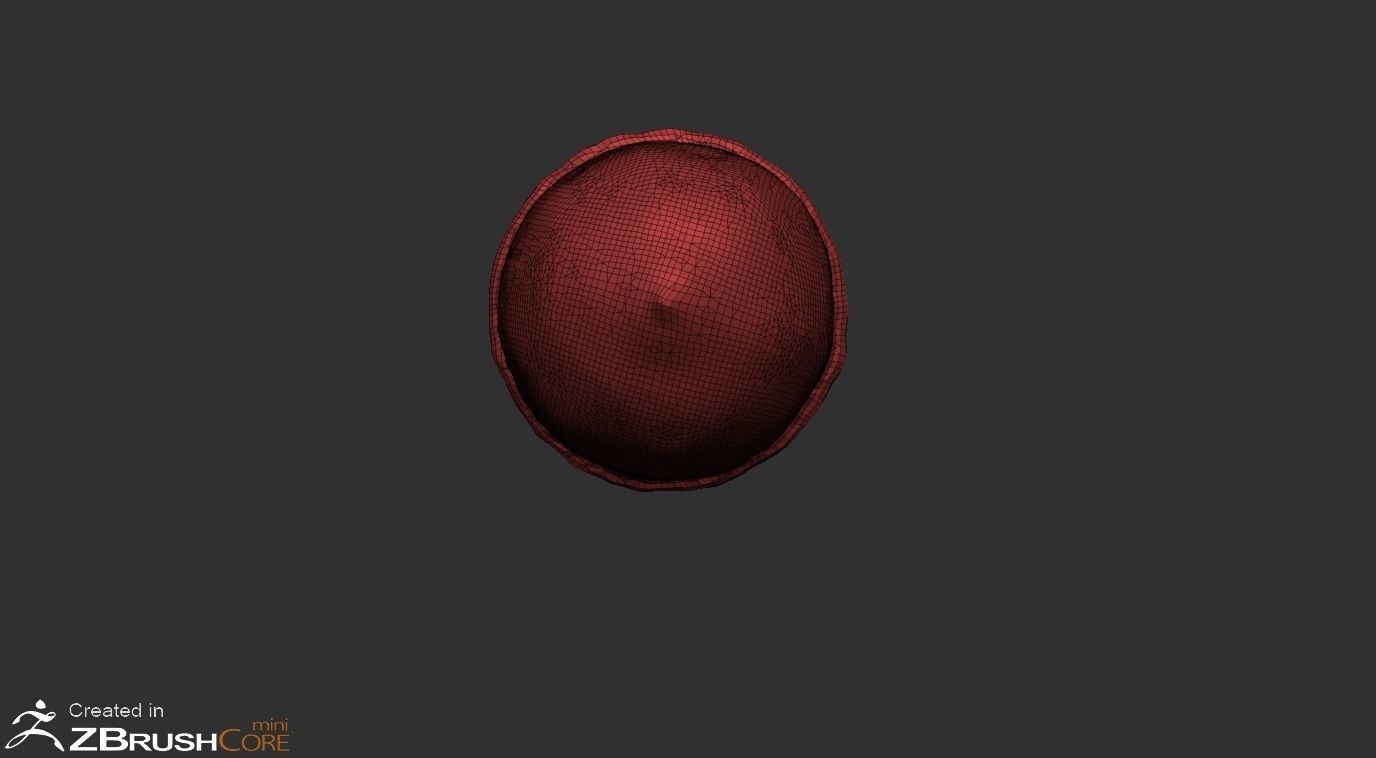 Acorn Low-poly 3D model_2