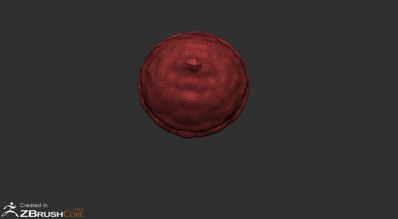 Acorn Low-poly 3D model_3