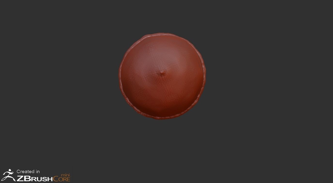 Acorn Low-poly 3D model_5