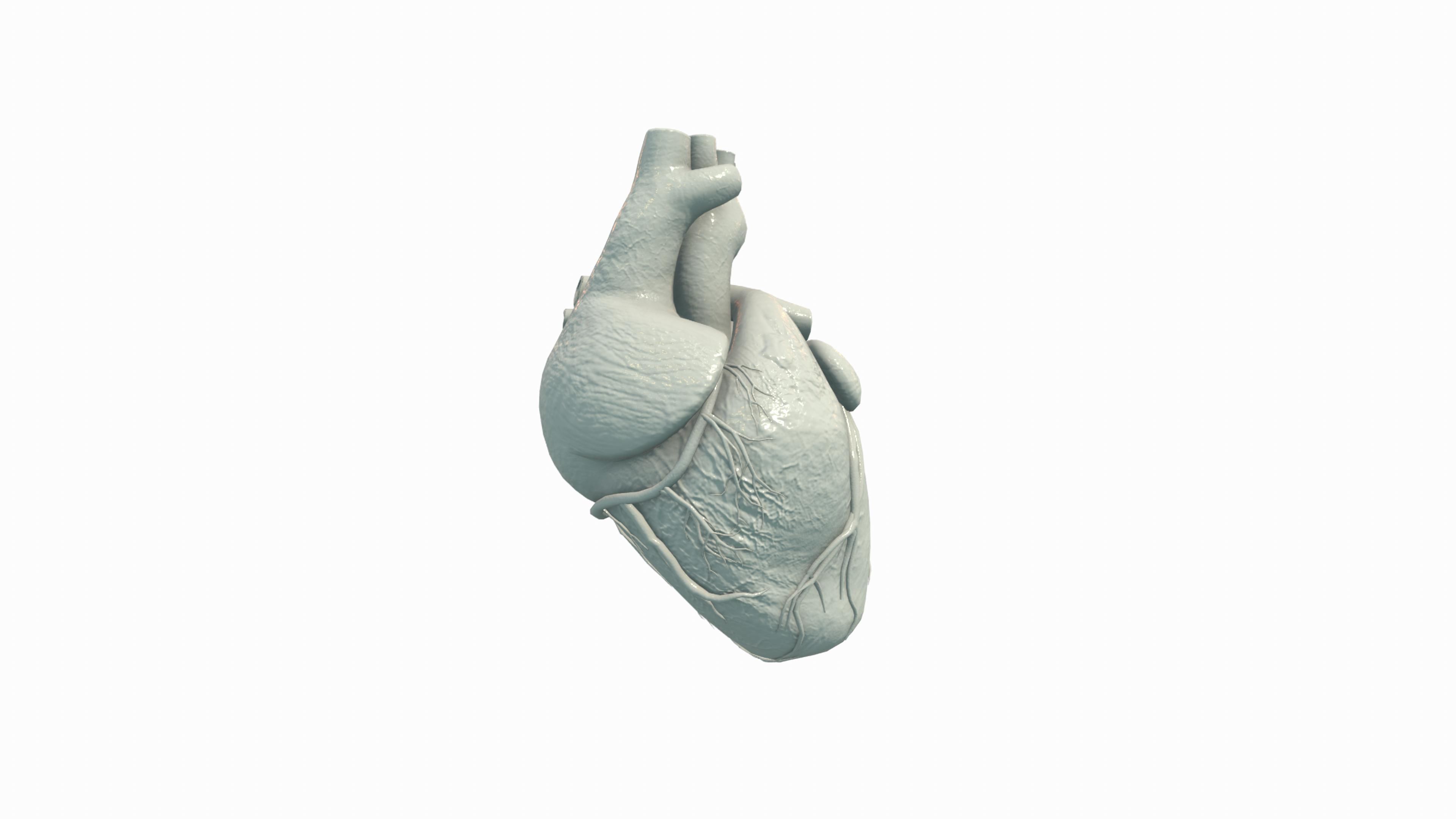 Human Heart Low-poly 3D model_6