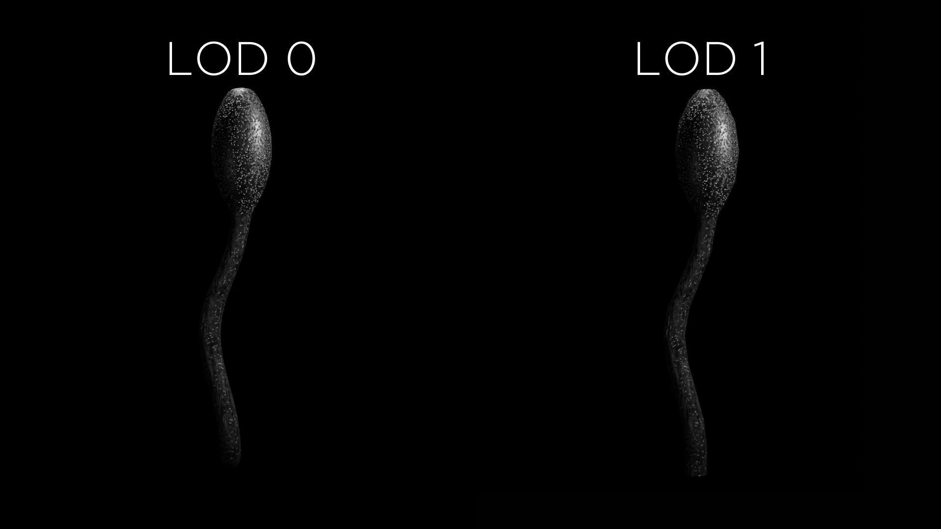 Tolypocladium ophioglossoides Low-poly 3D model_3