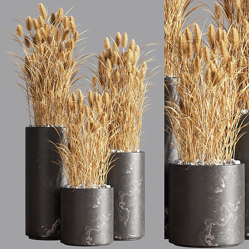 Indoor Plant Set 73 3D model