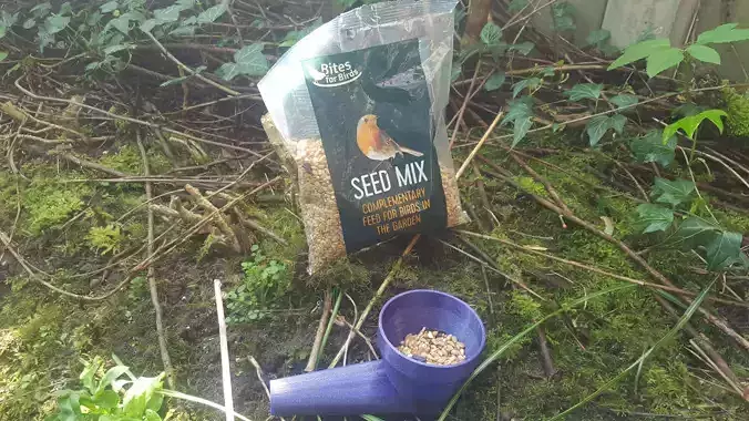 Bird Seed Dispenser Free 3D print model