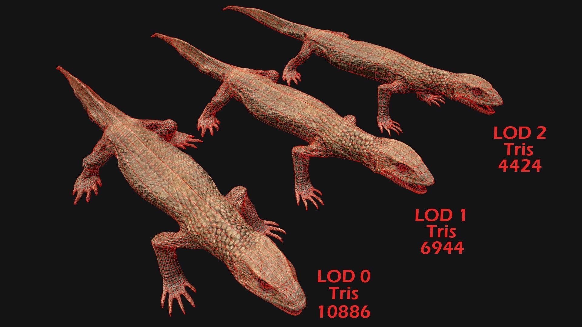 Reptile Pack Crocodile Iguana Turtle Varanus Low-poly 3D model_11