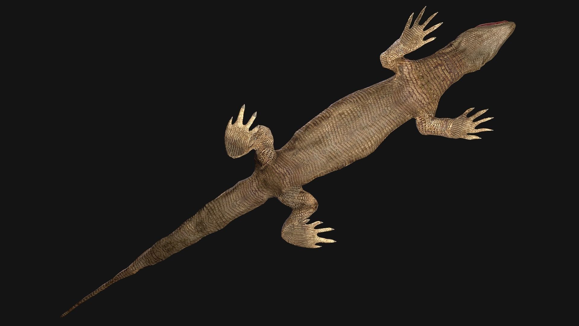 Reptile Pack Crocodile Iguana Turtle Varanus Low-poly 3D model_13