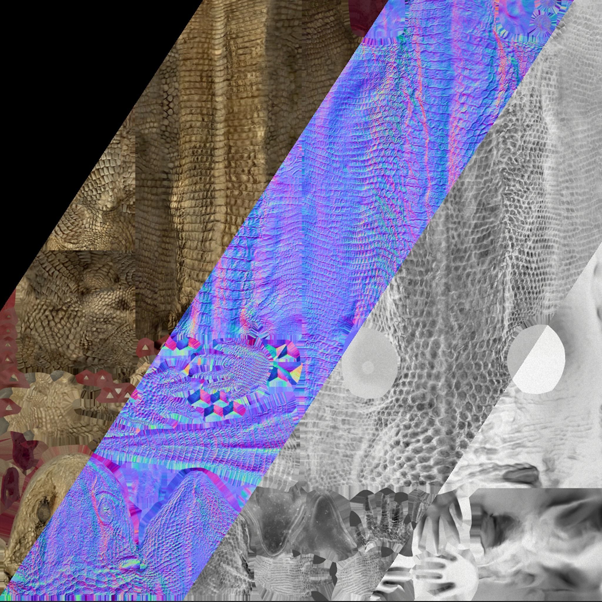 Reptile Pack Crocodile Iguana Turtle Varanus Low-poly 3D model_45