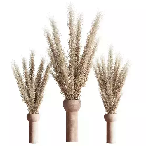 Dry Flowers Bouquet Vase 07