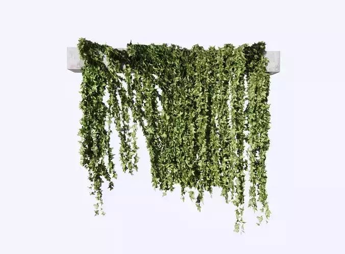 3d model Vines leaf Lee Kuan Yew plant 3D model