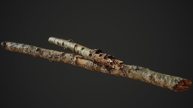 American Sycamore Broken Trunks 01 Low-poly 3D model