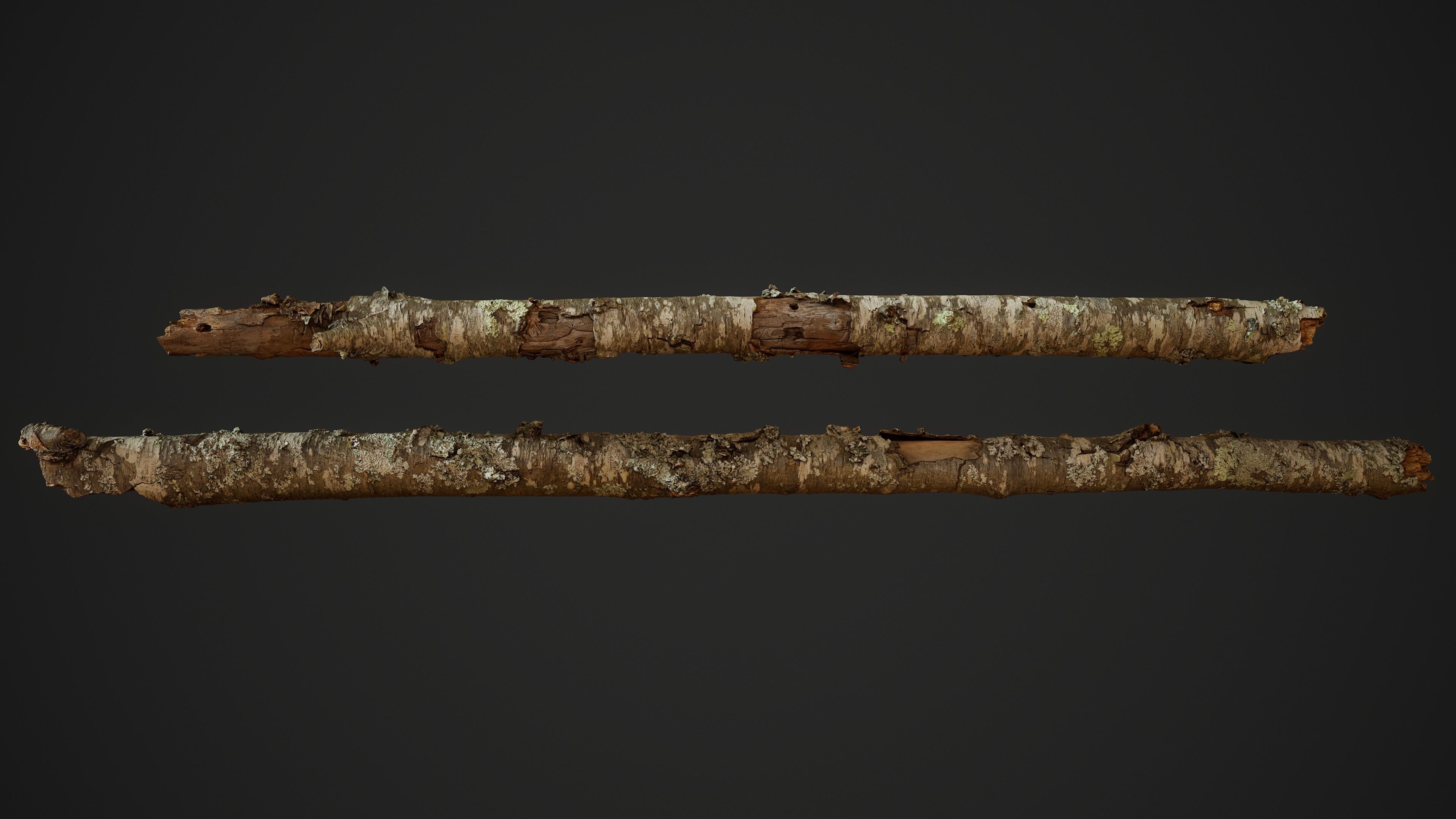 American Sycamore Broken Trunks 01 Low-poly 3D model_2