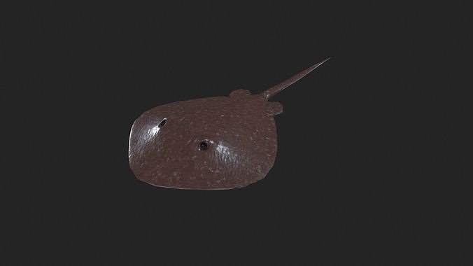 Stingray 3d low poly model Low-poly 3D model