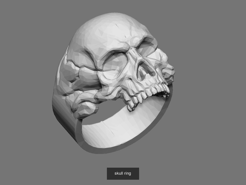 5 skull ring  3D Model Collection_4