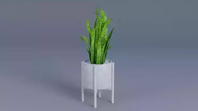 flower vase