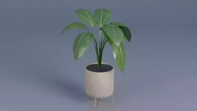 flower vase