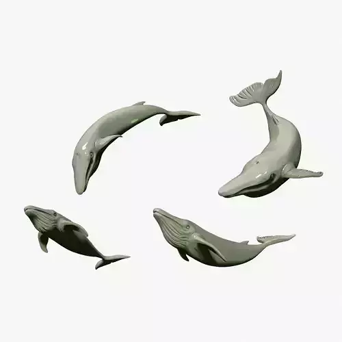 four whales toy in different positions 3D print model