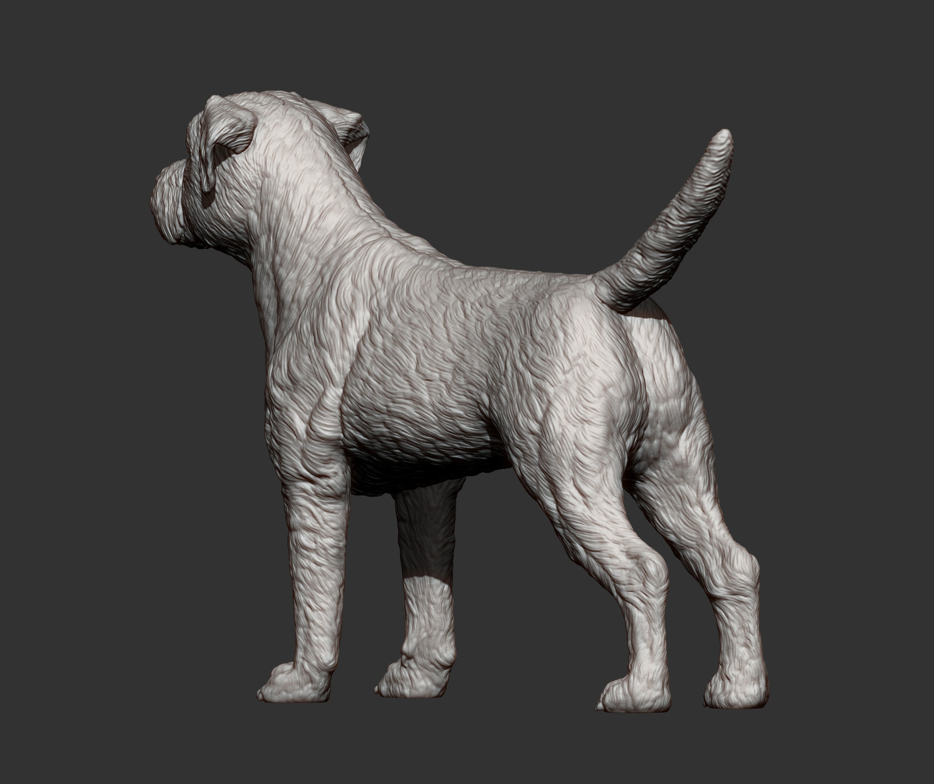 Border terrier 3D print model_11