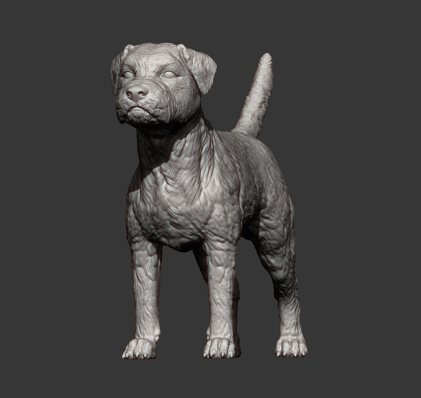 Border terrier 3D print model_6