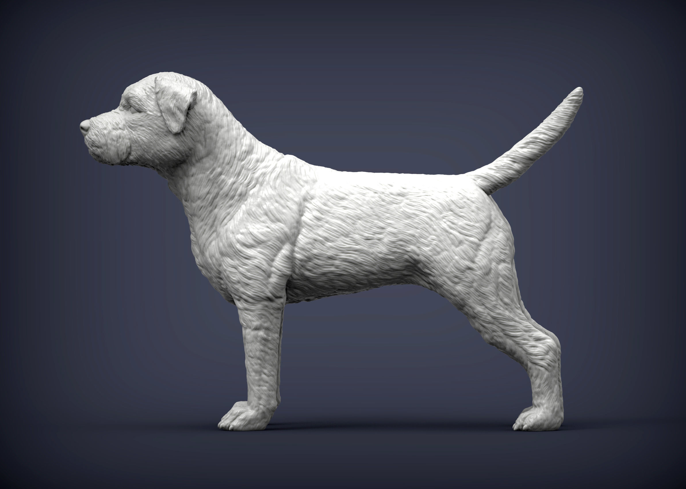 Border terrier 3D print model_2