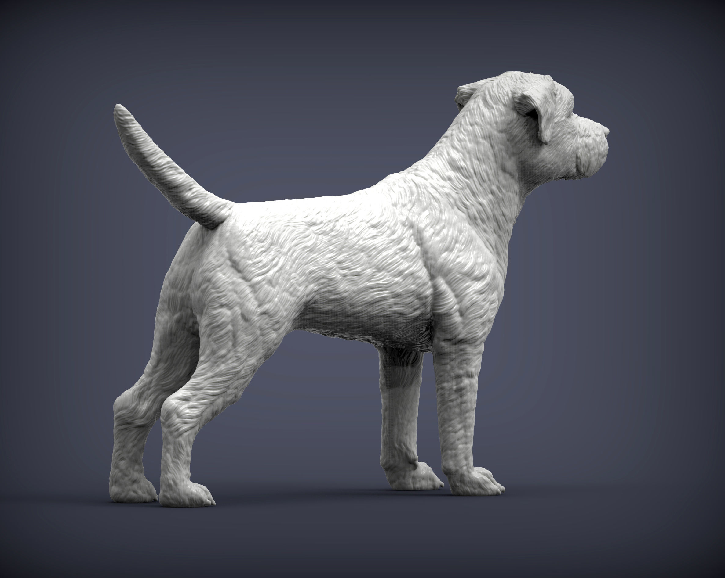 Border terrier 3D print model_4