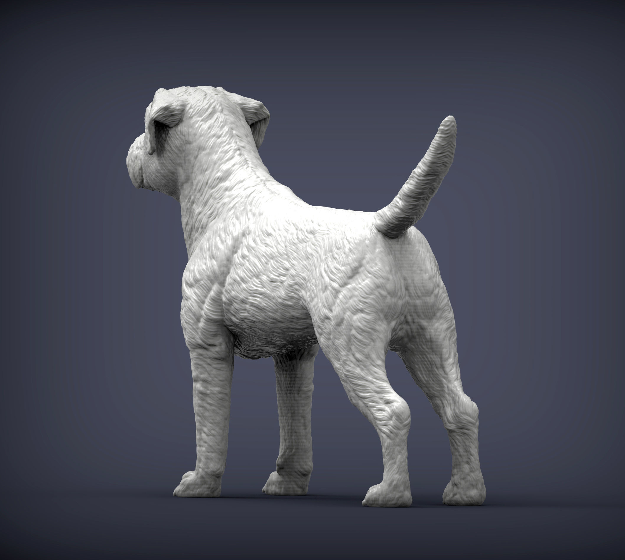Border terrier 3D print model_5