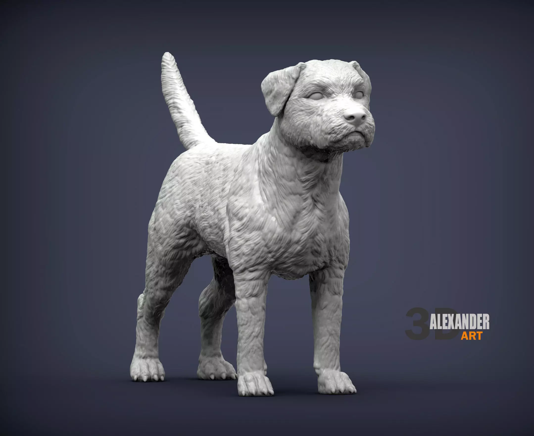 Border terrier 3D print model_0
