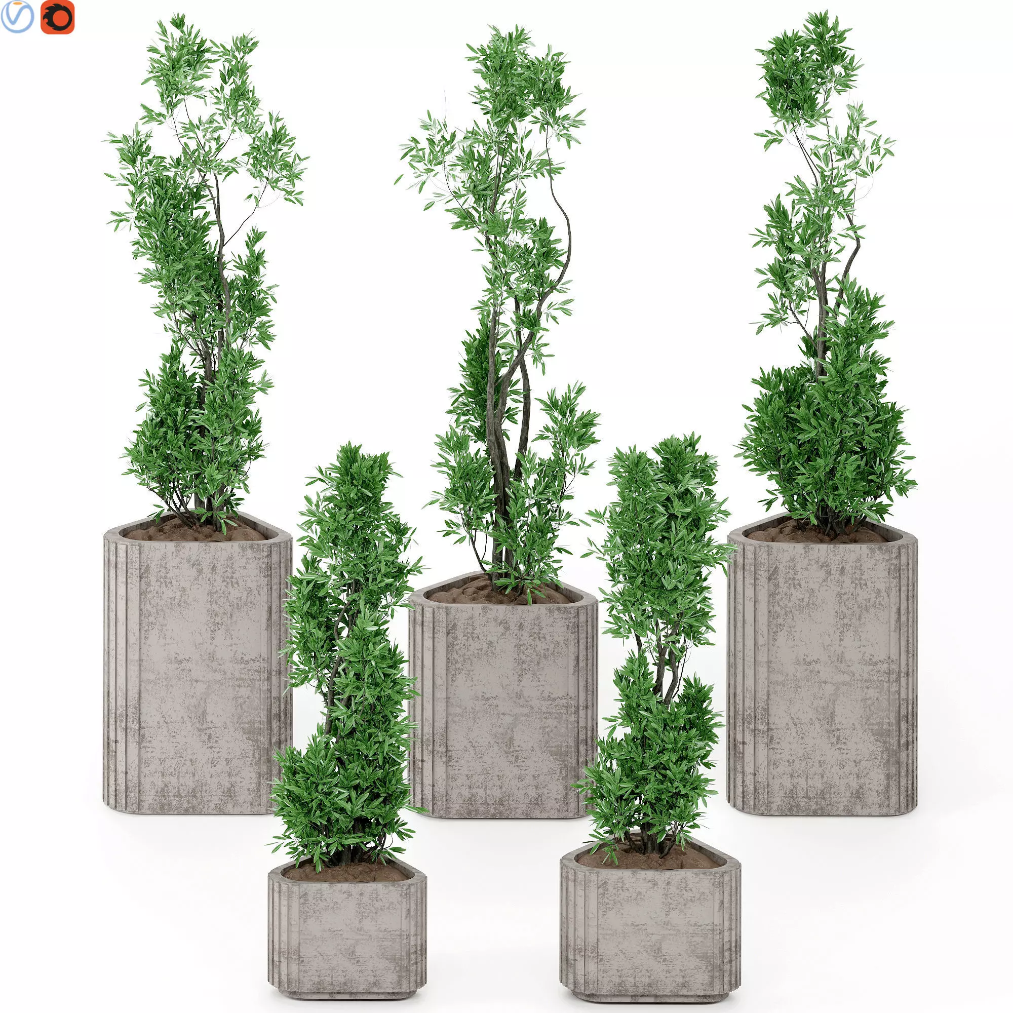 Indoor plants 21 3D model
