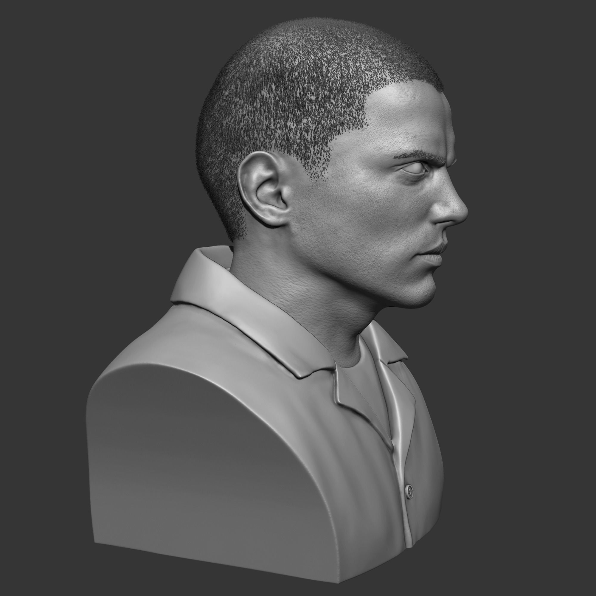 Michael Scofield Bust  3D print model_4