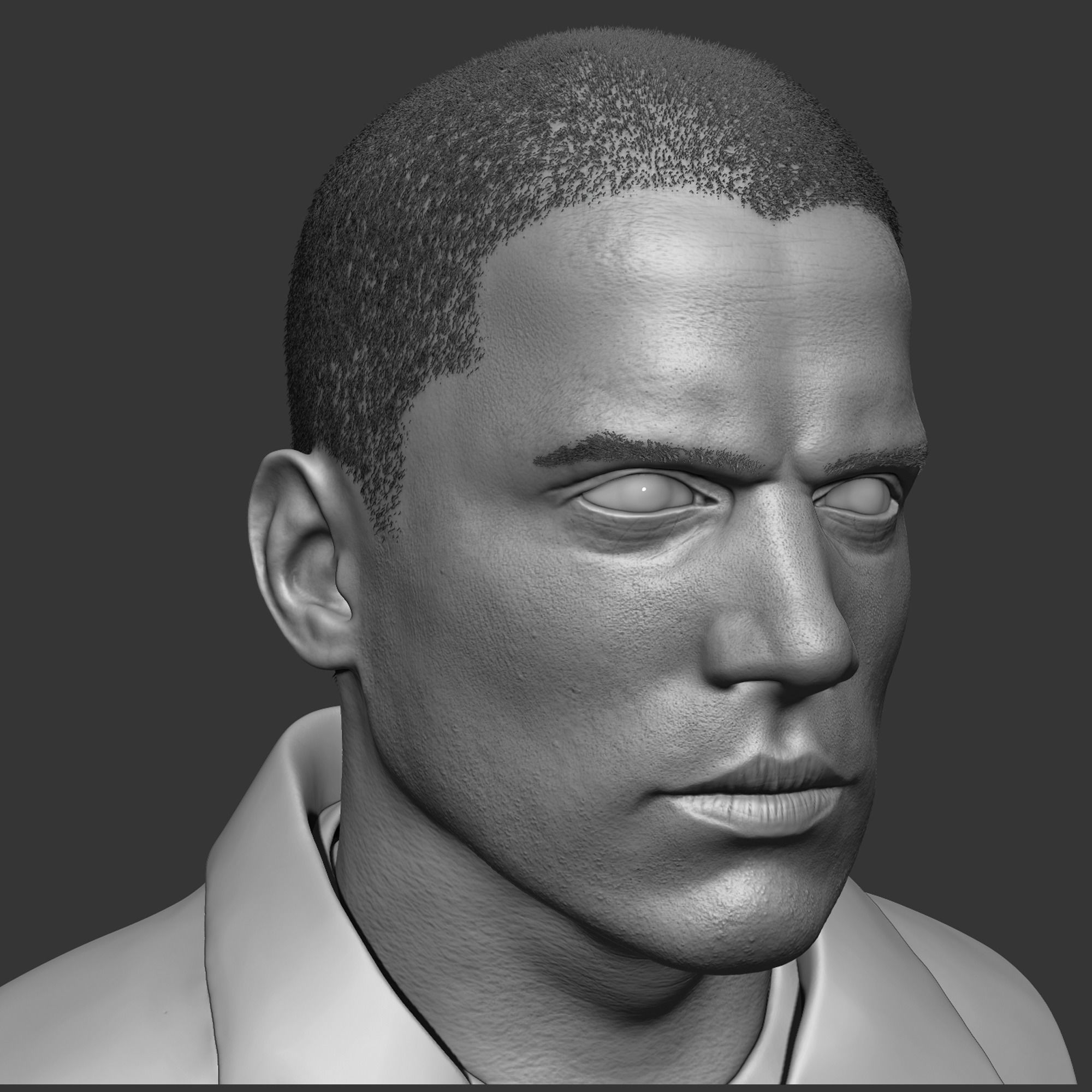 Michael Scofield Bust  3D print model_1