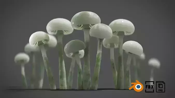 Mushrooms Set 01-PBR Low-poly 3D model