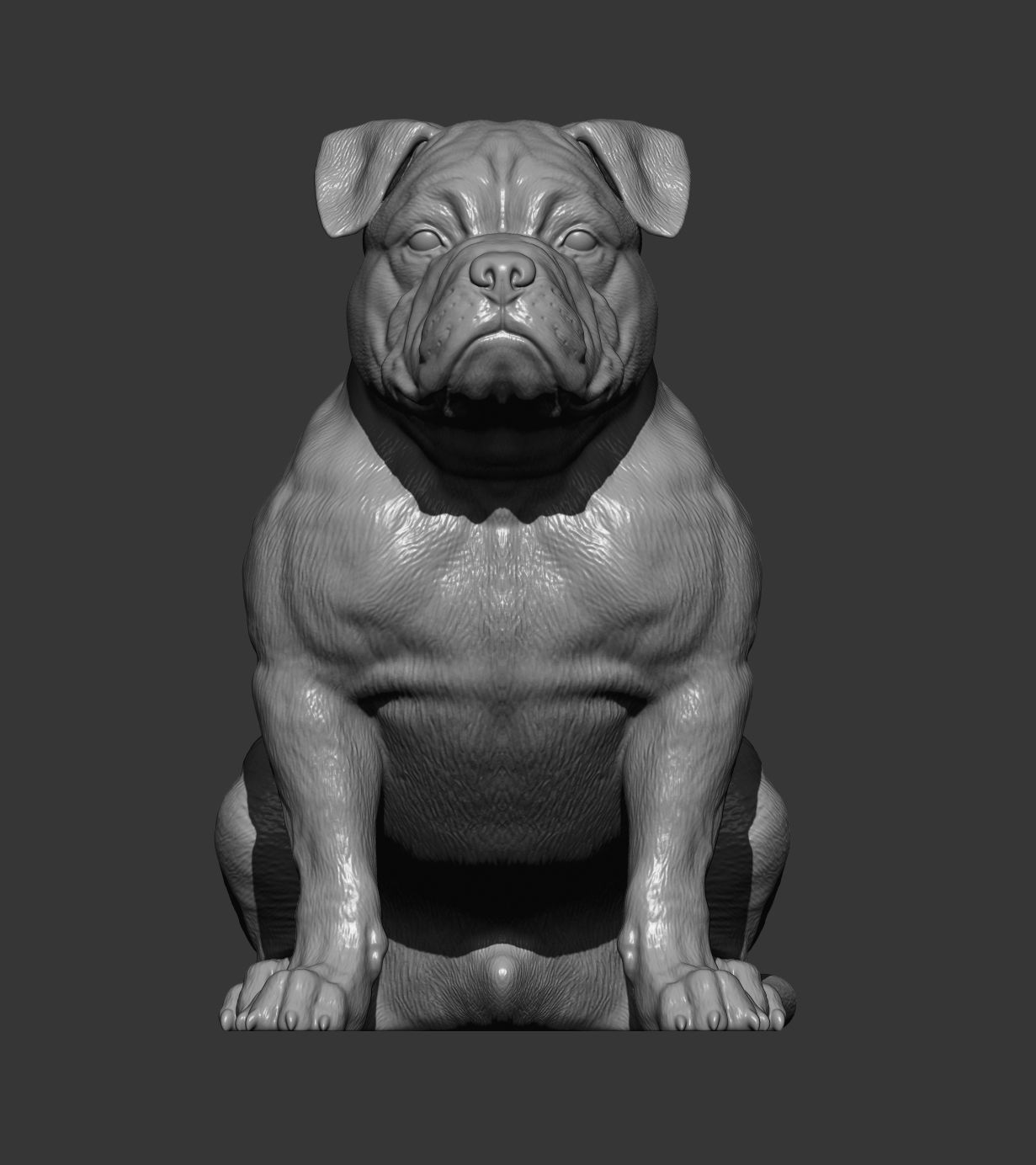 American Bully 3D print model_8