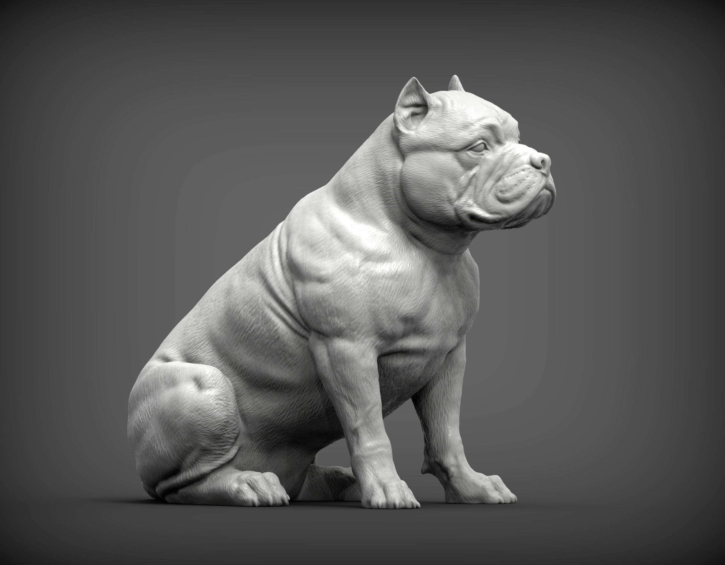 American Bully 3D print model_3