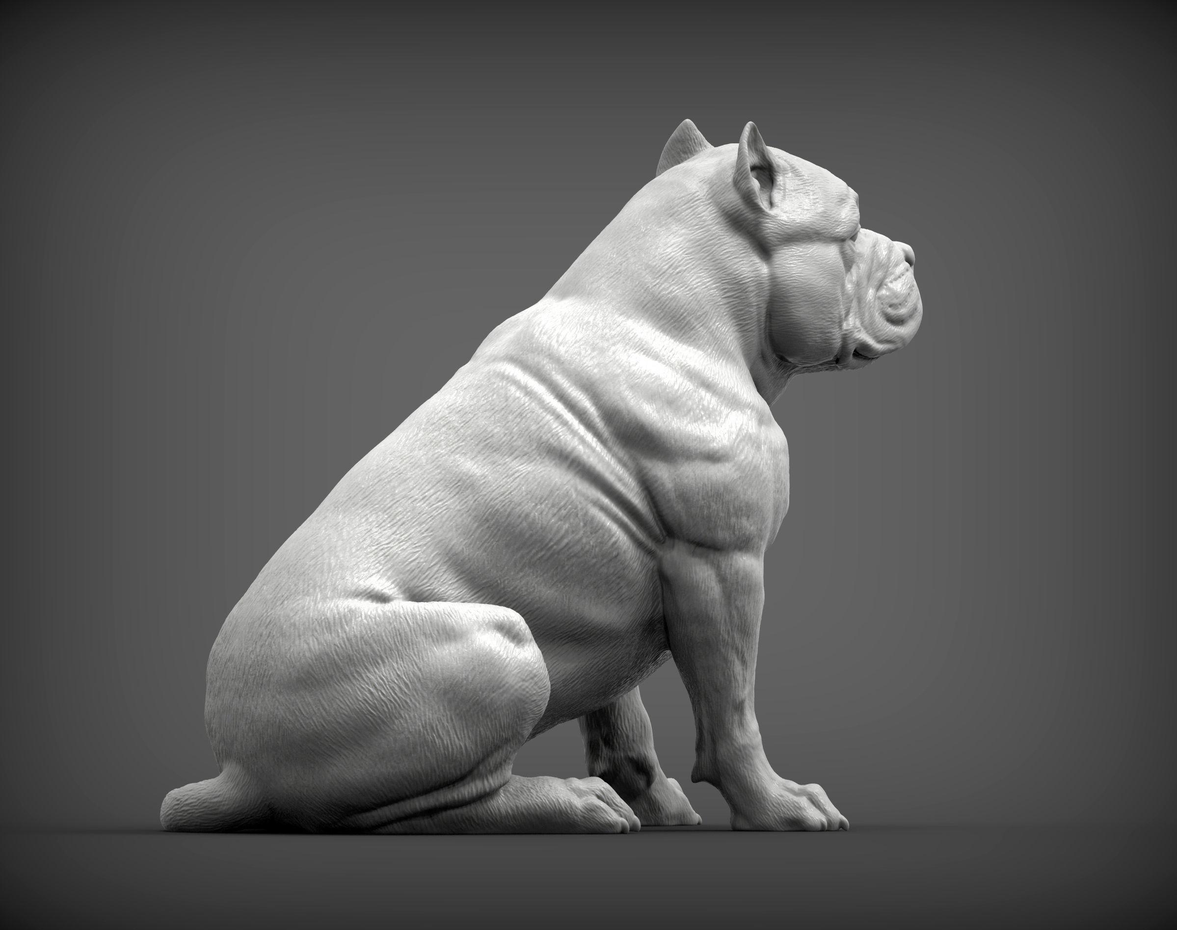 American Bully 3D print model_4