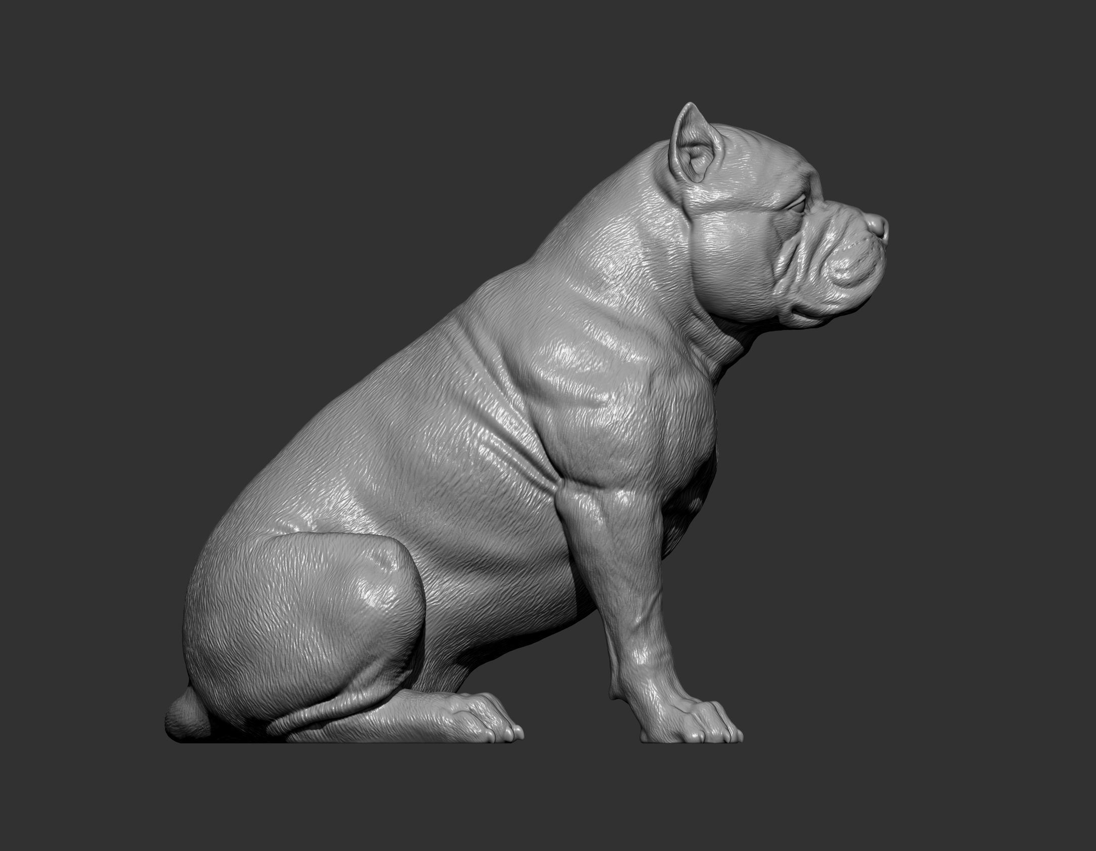 American Bully 3D print model_12