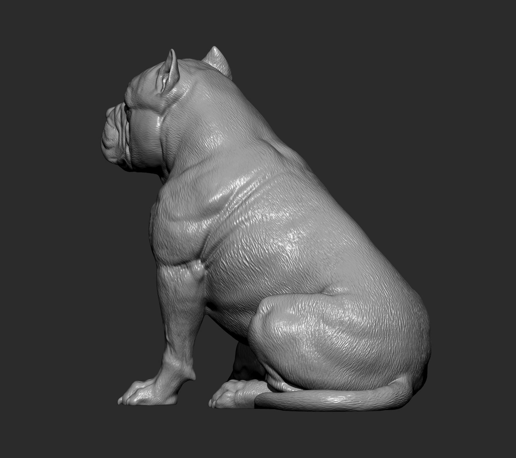 American Bully 3D print model_7