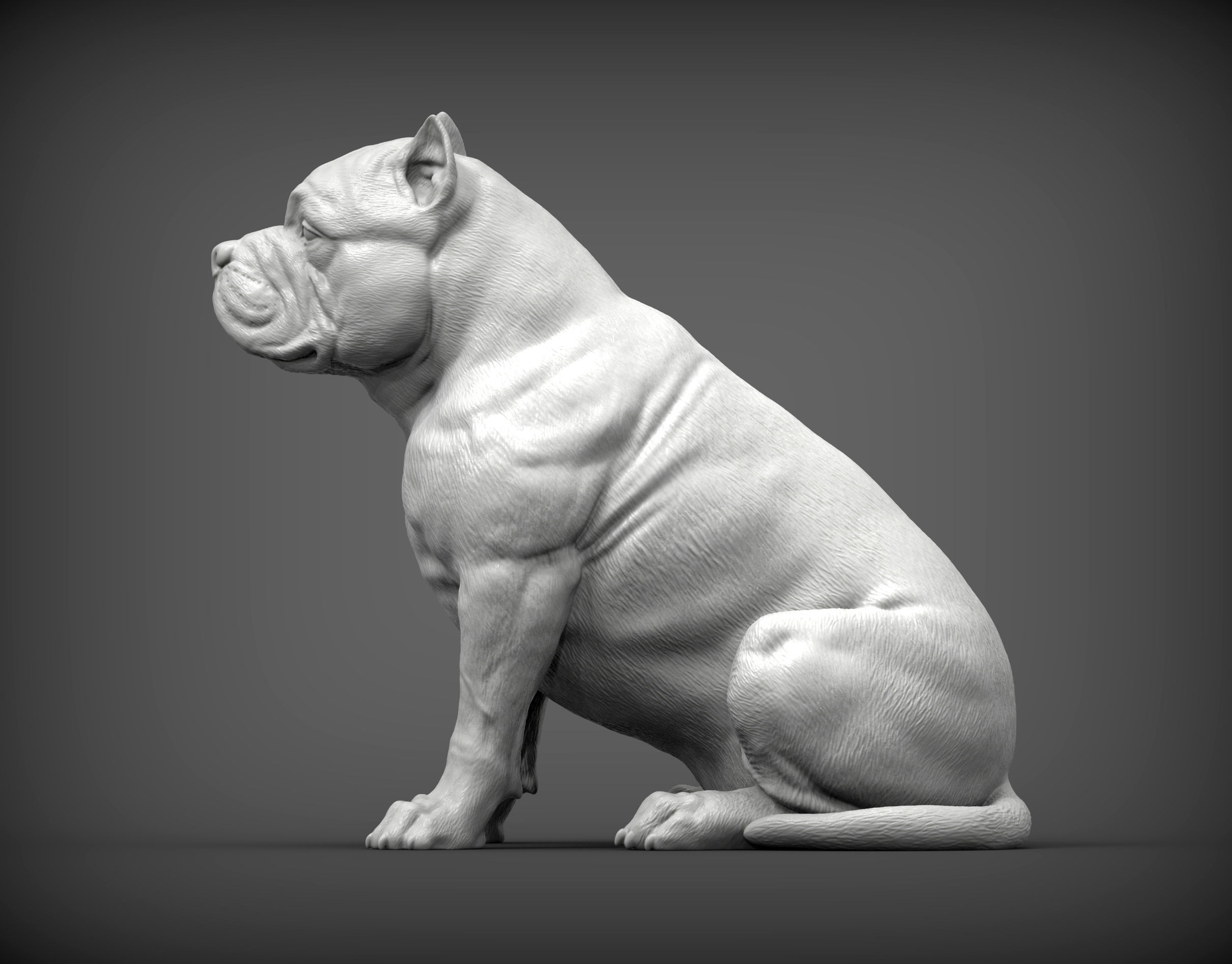 American Bully 3D print model_2