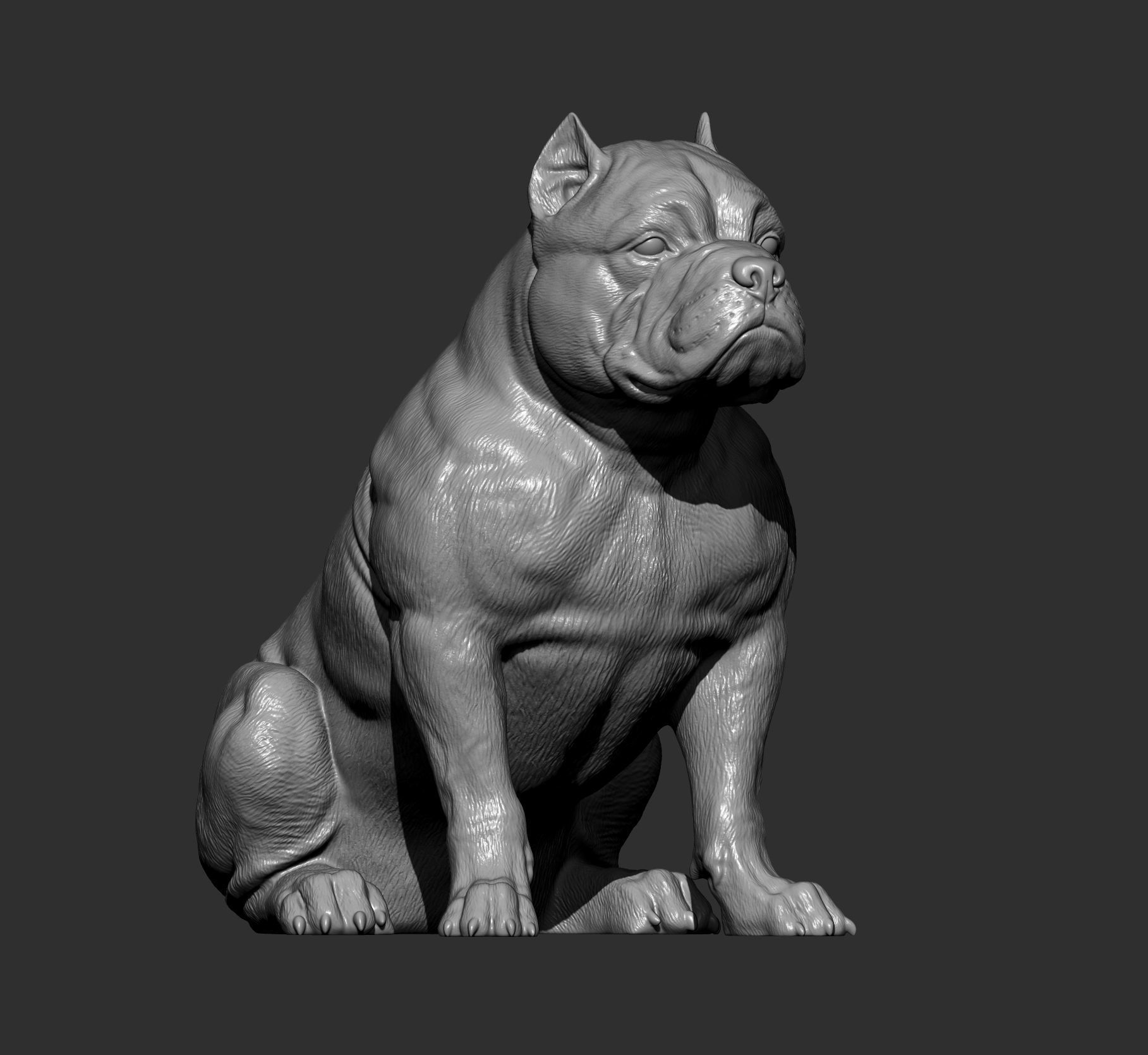American Bully 3D print model_9