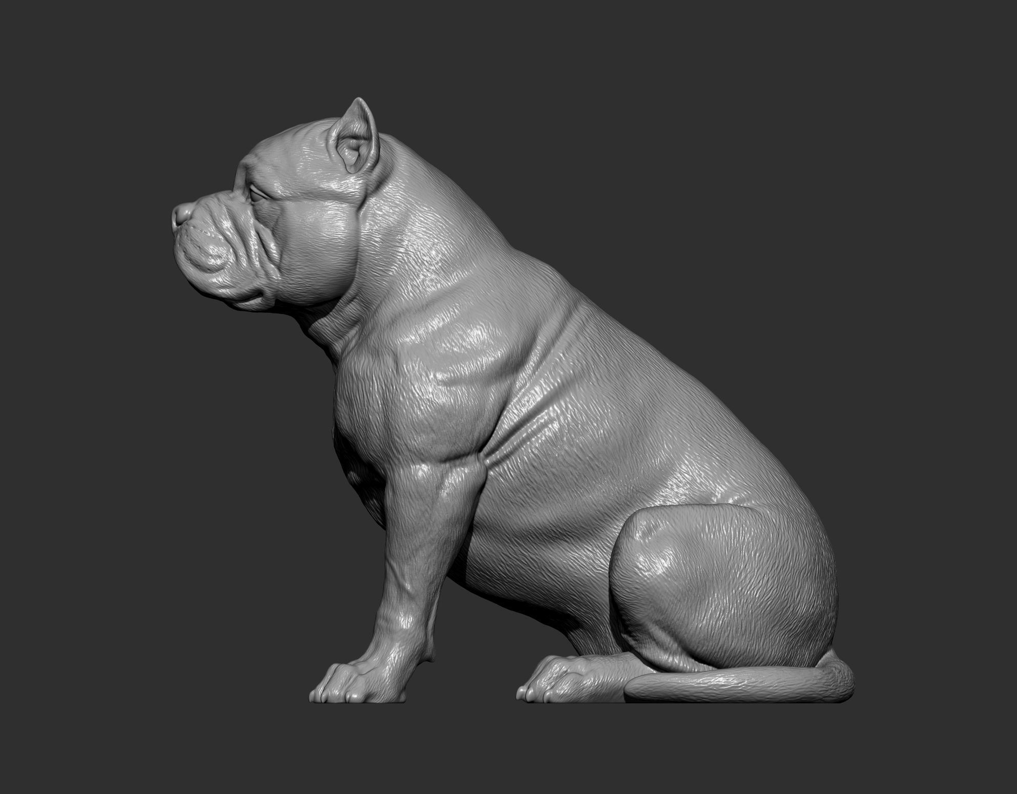 American Bully 3D print model_10